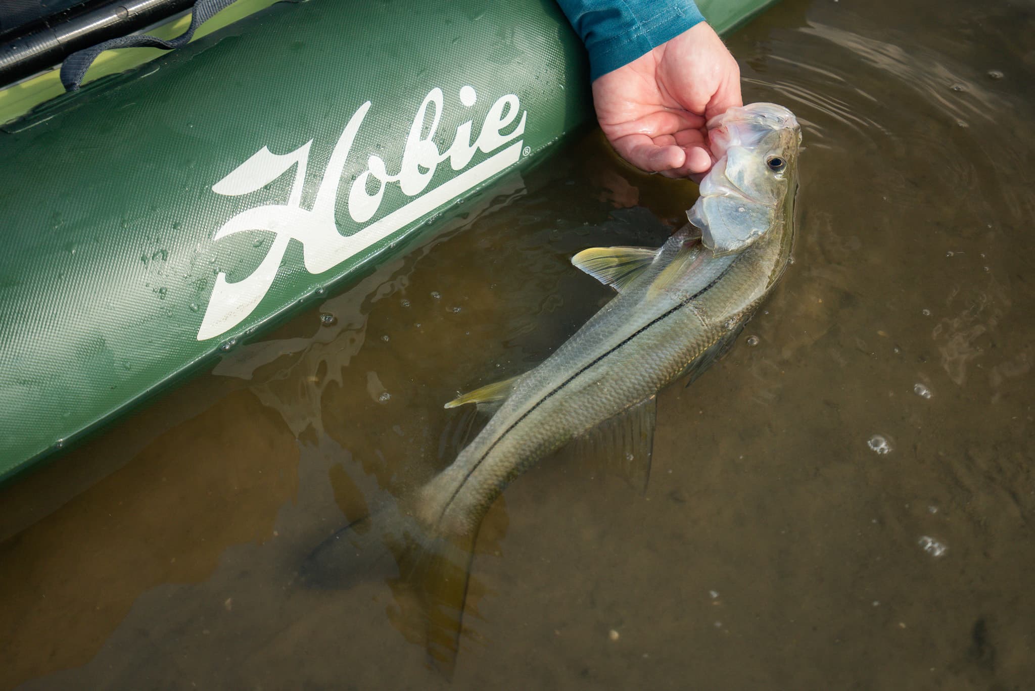 Hobie lifestyle campaign still