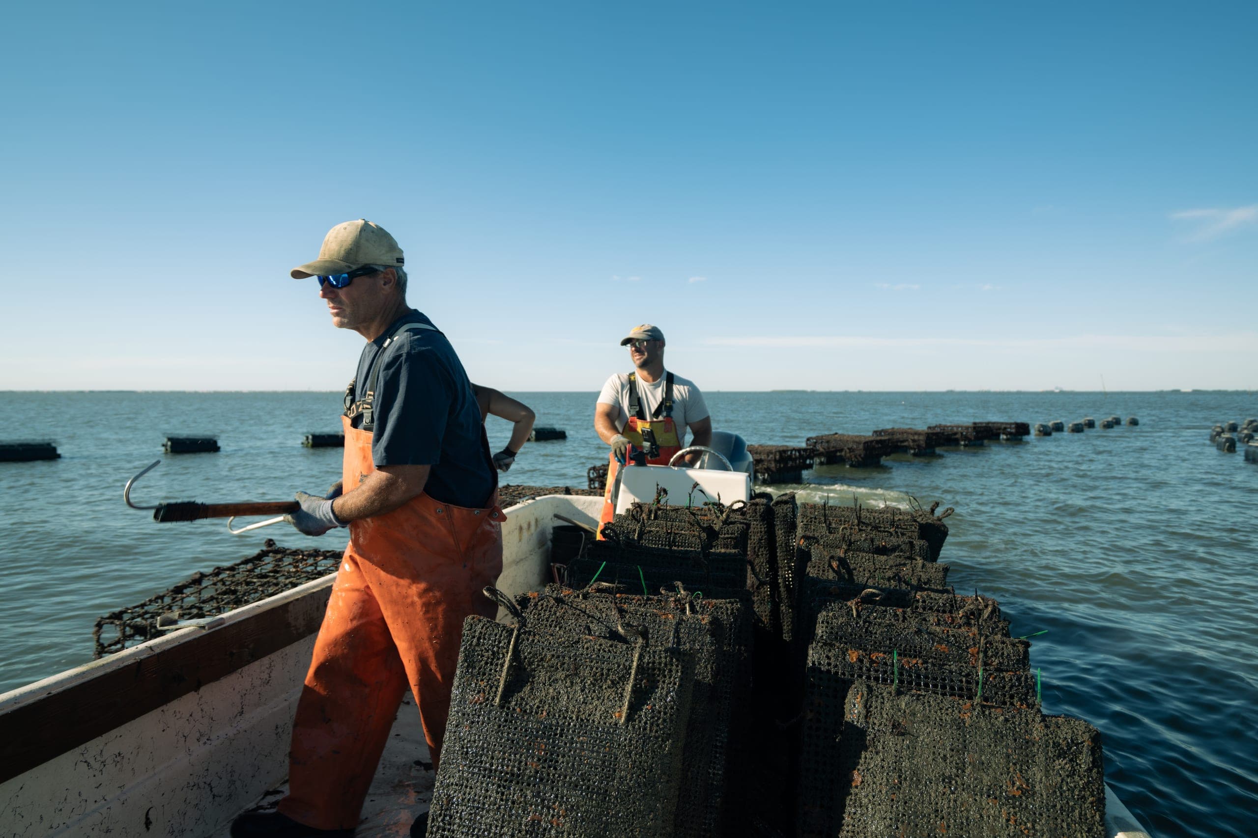 Two oyster farmers in bib waders working a boat stacked with mesh cages on open water