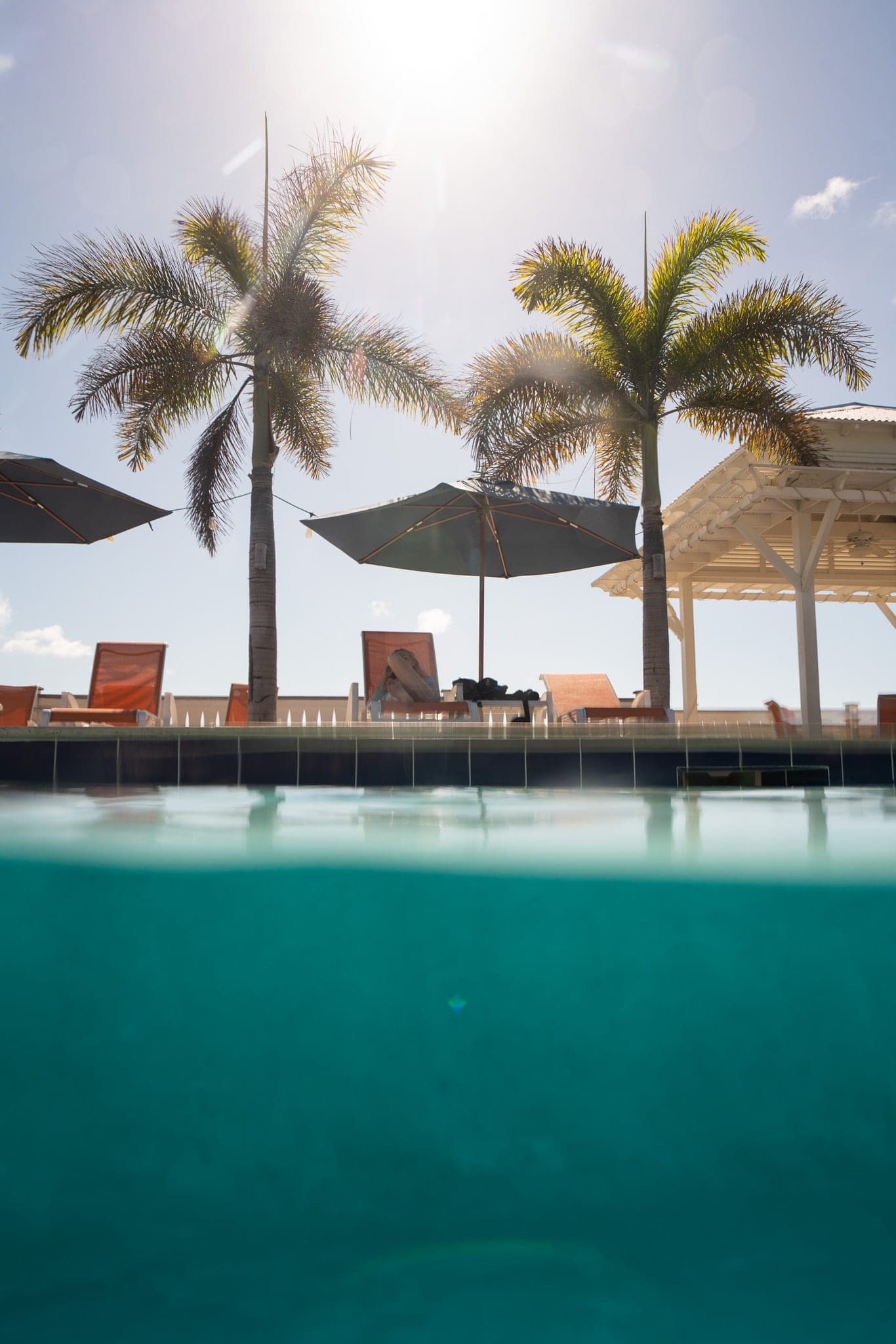 Half-underwater view of a sunlit resort pool framed by palm trees and umbrellas