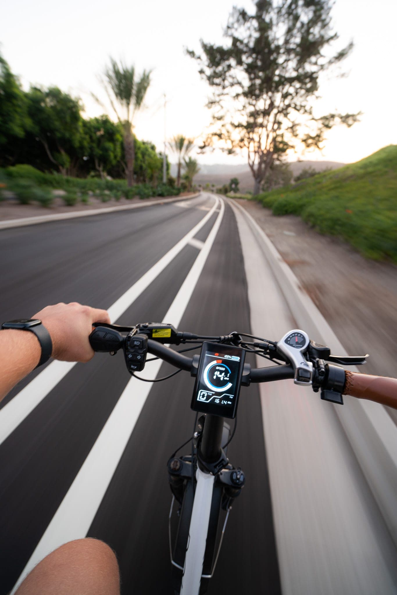Rider's-eye view over e-bike handlebars speeding down a palm-lined bike lane at dawn