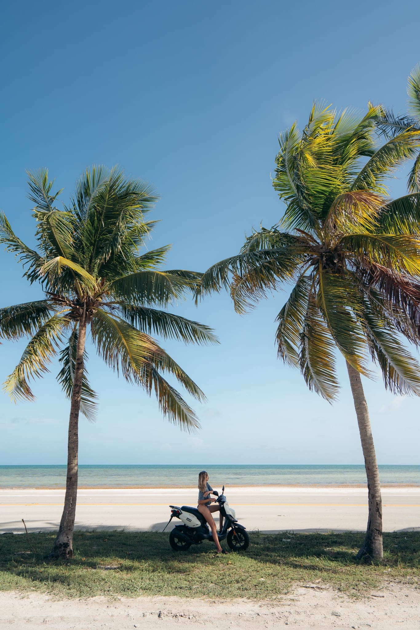 Woman on a scooter framed by two palm trees along a sunny oceanfront road