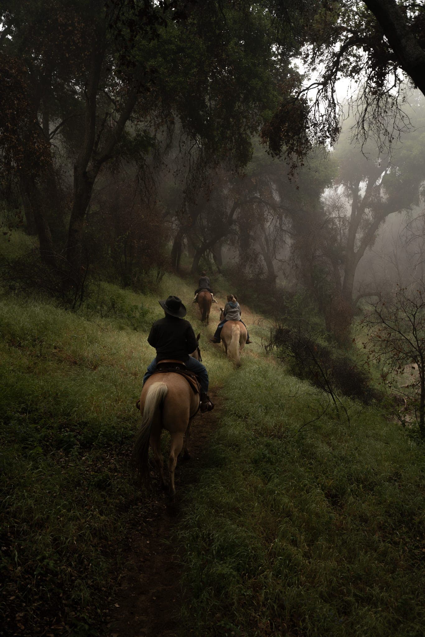 Horseback riders descending a grassy trail through a misty oak forest