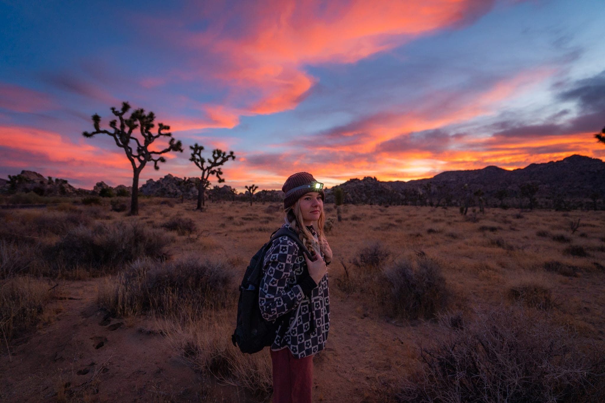 Hiker wearing a headlamp among Joshua trees under a vivid pink desert sunset